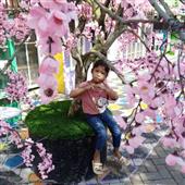 số R