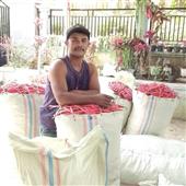 Xem 