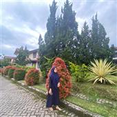 chiế