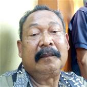 Giả