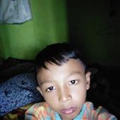 Truy