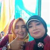 Cung