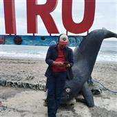 Trò 