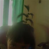Kẻ T