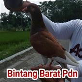 Nhân