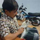 Mơ 