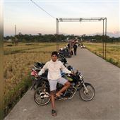 Luật