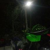 LUCK