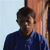 Giả