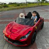 đội 