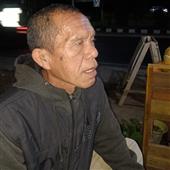 Trực