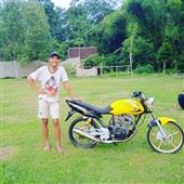 Luật