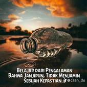 Bầy