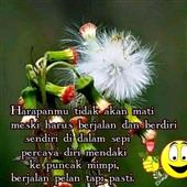 Rele