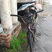 Gà 