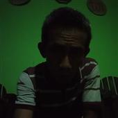 Cung