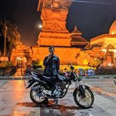 giả