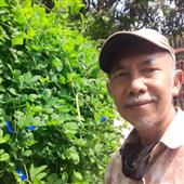 Ngọn