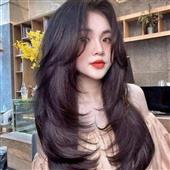 Bxh 