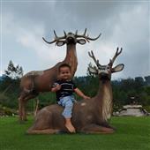 Câu 