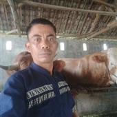 Chú