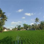 Sứ 