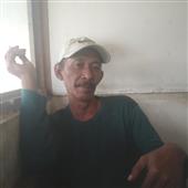 Chó