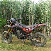 Trực