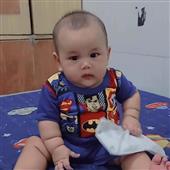 Bản