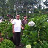 Đấu 