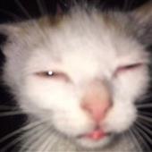 SUP