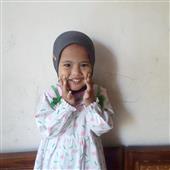 Luật