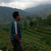 Tiề