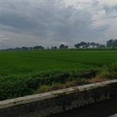 Bàn