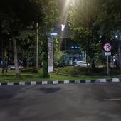 Ngườ