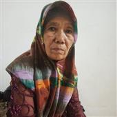Rừng