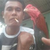 Tư t