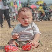 Rắn 