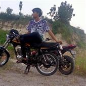 Luật
