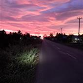 Sòng