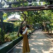 Nữ C