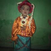 VỪN