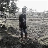 TỶ P