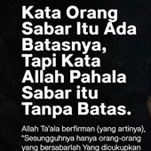 Tarz