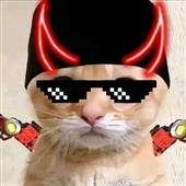 Giả