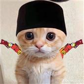 Thể 