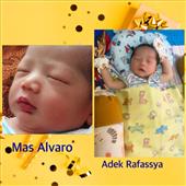 Mafi