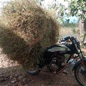 Lễ h