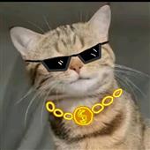 Soi