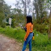 Vide